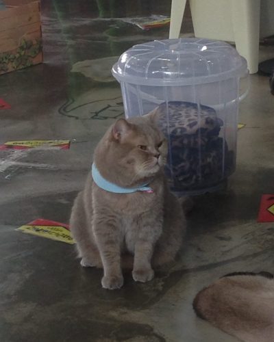 KakaoTalk_20250219_152004612_05